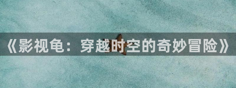 亚洲视频一区不卡：《影视龟：穿越时空的奇妙冒险》