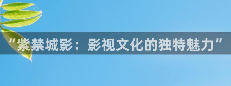 我不卡老子影视：“紫禁城影：影视文化的独特魅力”