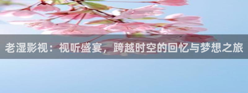 国产不卡视频手机观看网站：老湿影视：视听盛宴，跨越时空的回忆与梦想之旅