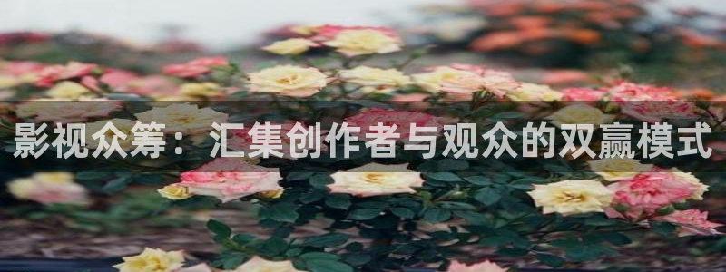 我不卡综合影院：影视众筹：汇集创作者与观众的双赢模式